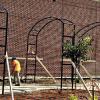 Tall Rose Arbors Newly Installed