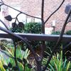 Design in Arbor