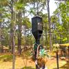 lamp post with 3 way light cover